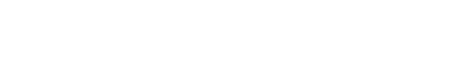 roche-bobois